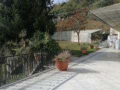 Villa singola a Carrara - 3