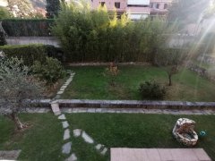 Carrara loc.tà Bonascola villa indipendente con giardino - 2
