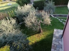 Carrara loc.tà Bonascola villa indipendente con giardino - 6