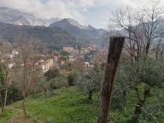 Carrara terreno agricolo - 2