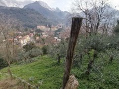 Carrara terreno agricolo - 3