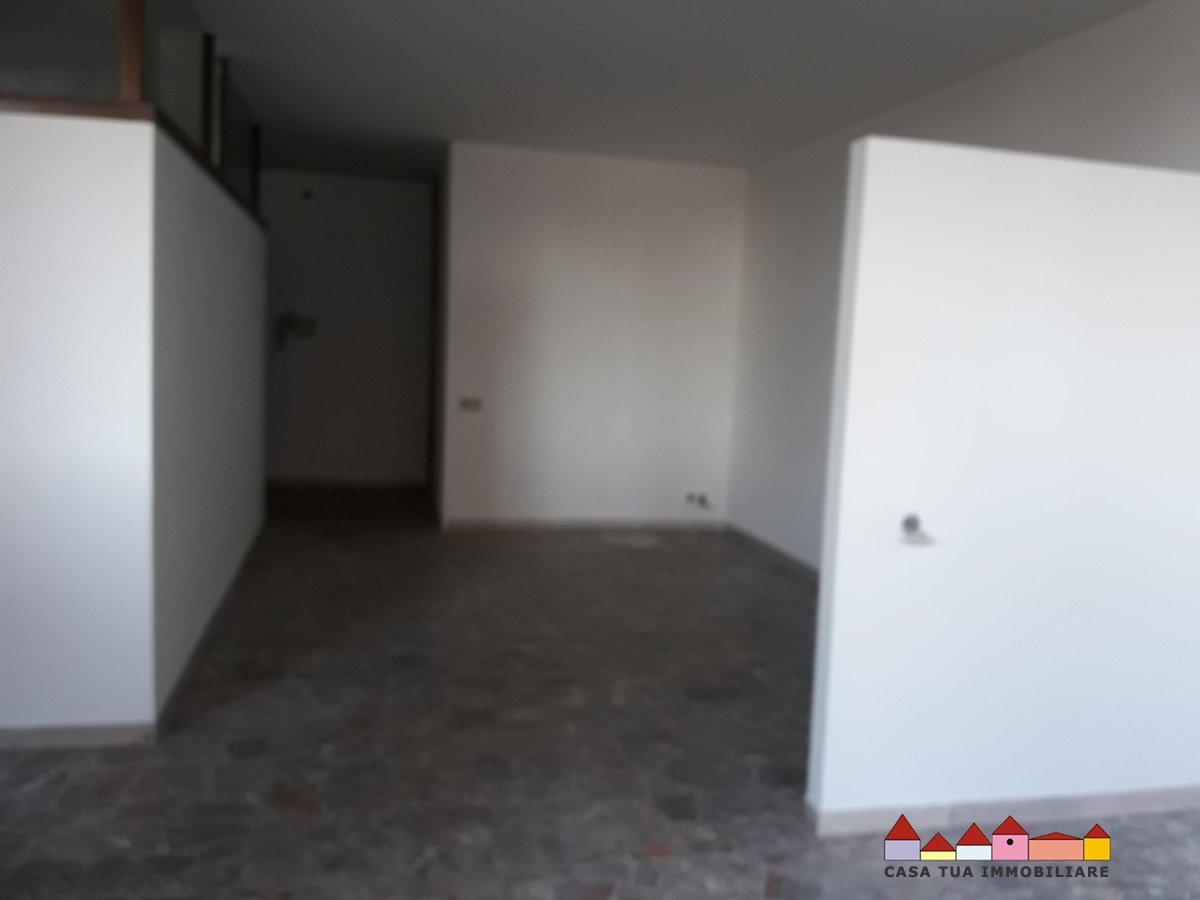 Appartamento CARRARA vendita  Carrara  Casa Tua Immobiliare