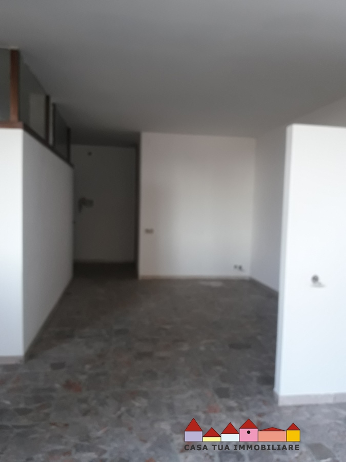 Appartamento CARRARA vendita  Carrara  Casa Tua Immobiliare